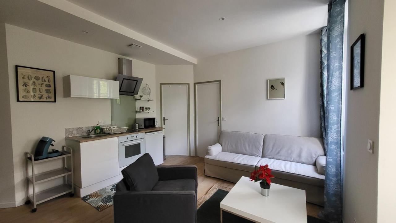 Charmant 2 Pieces Avec Terrasse Proche Centre Ville - Parking Gratuit A Proximite Lourdes Exteriör bild